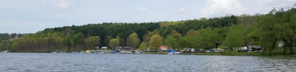 Leesville Lake North Fork Marina